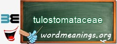 WordMeaning blackboard for tulostomataceae